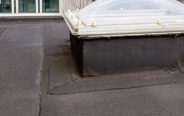 disadvantages of Hinton Waldrist flat roofs