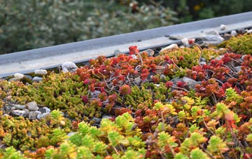 the cost of Hinton Waldrist green roof installation