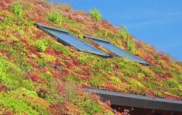 Hinton Waldrist living roof systems