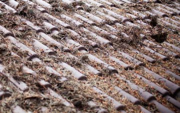 Hinton Waldrist roof cleaning companies